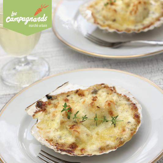 COQUILLES SAINT-JACQUES