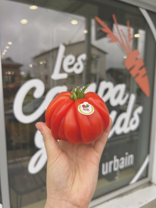 Serres Verrier maintenant disponible chez Les Campagnards!