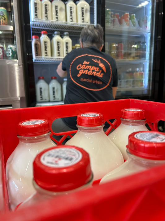 Du lait de vache Jersey à Drummondville