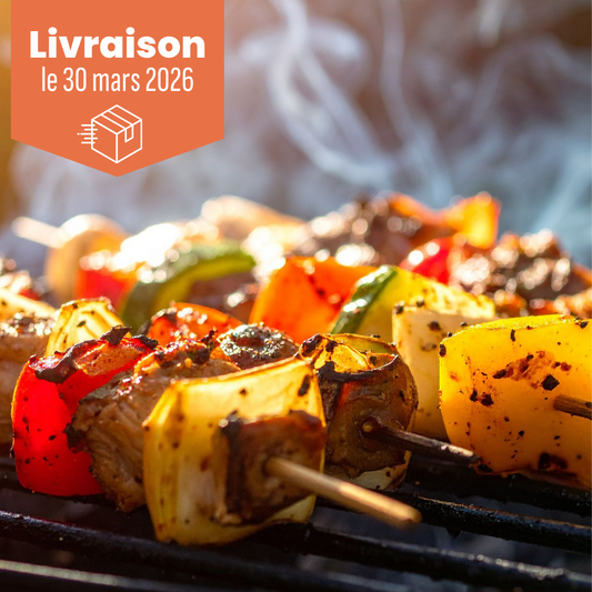 Brochettes de boeuf marinés délicieuses